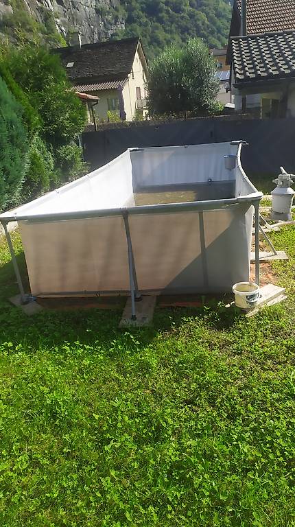 piscina