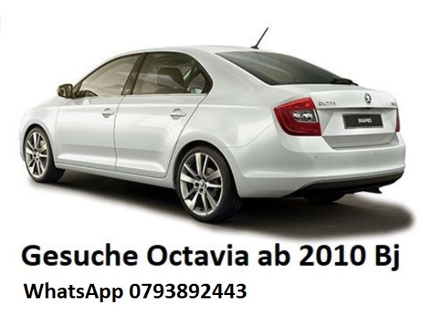 Suche ein Skoda Octavia