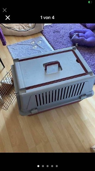 Hunde Transport Box