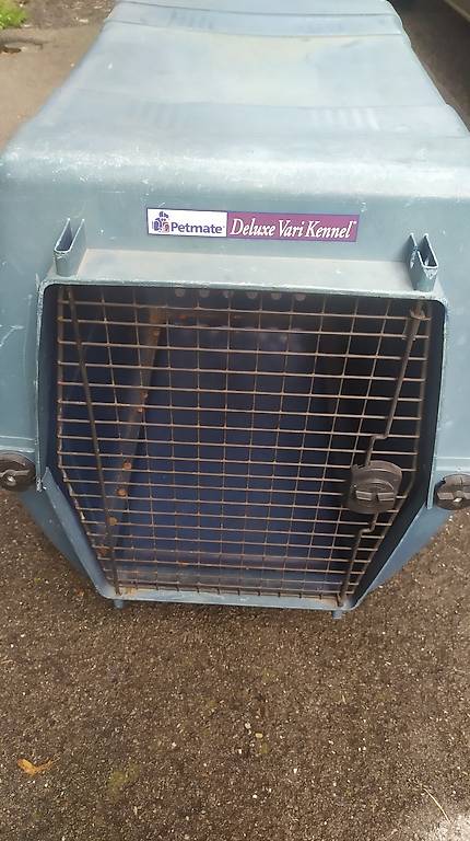 trasportino cane
